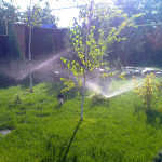 Фото Автополив приусадебного участка