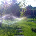 Фото Система автополива газона и растений