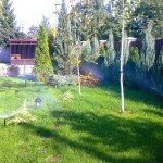 Фото Автополив газона на участке