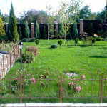 Фото Газон после ежедневного автоматического полива