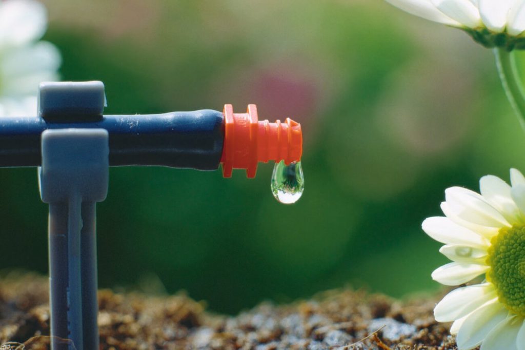 Фото капельный полив