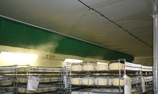 Система туманообразования для хранения сыров