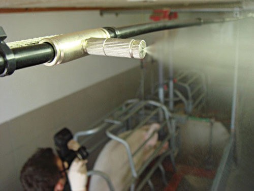 Система туманообразования в свиноводстве для охлаждения