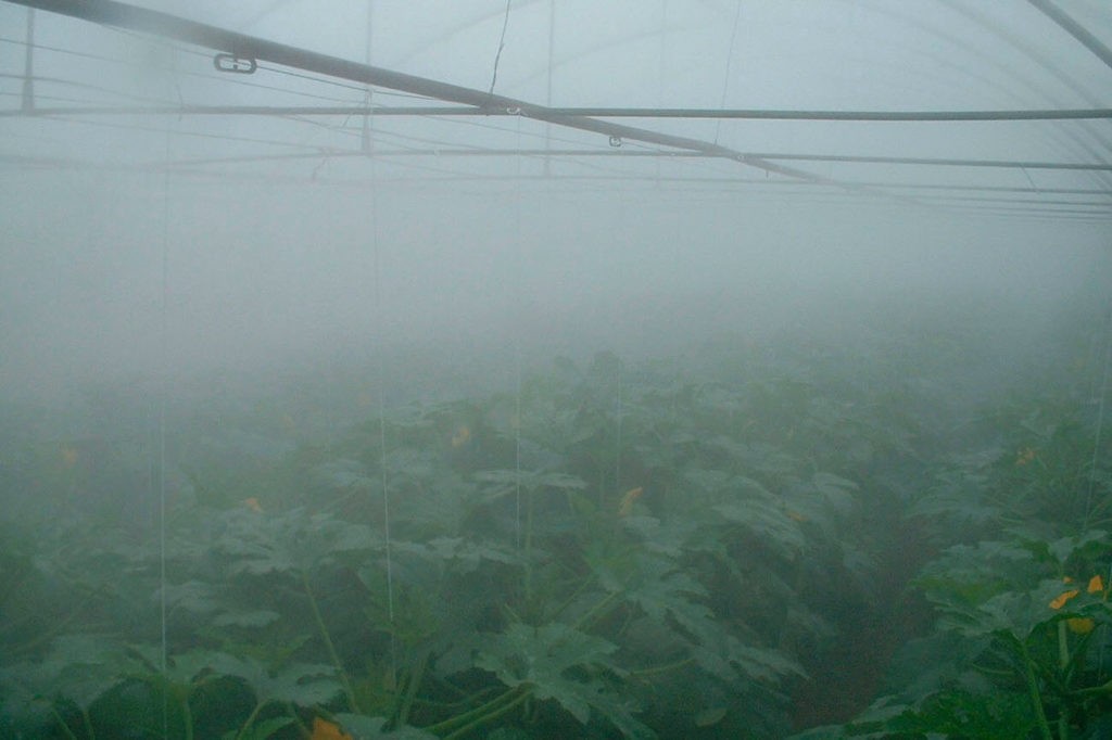 увлажнение в теплице туманом