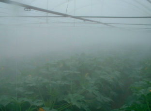 Системы туманообразования