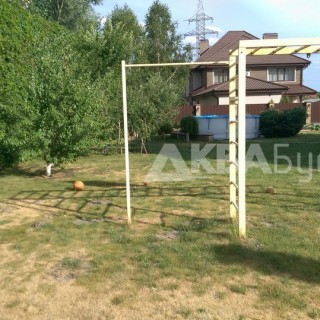 Желтый газон без полива