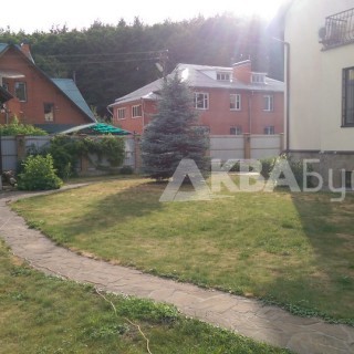 Трава без полива летом