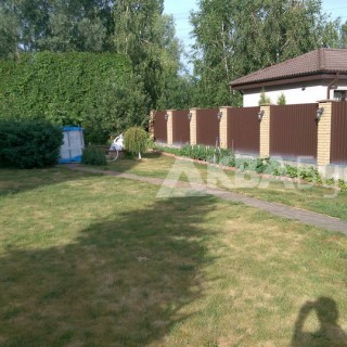 Выгоревший газон без полива