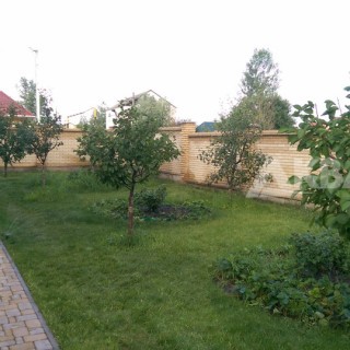 Фото газона после установки системы полива