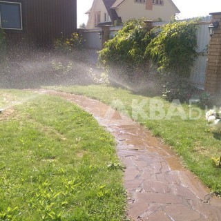 Спрейный полив газона Киев Дачи Чернобылец