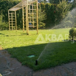 Зеленый газон через неделю после установки полива