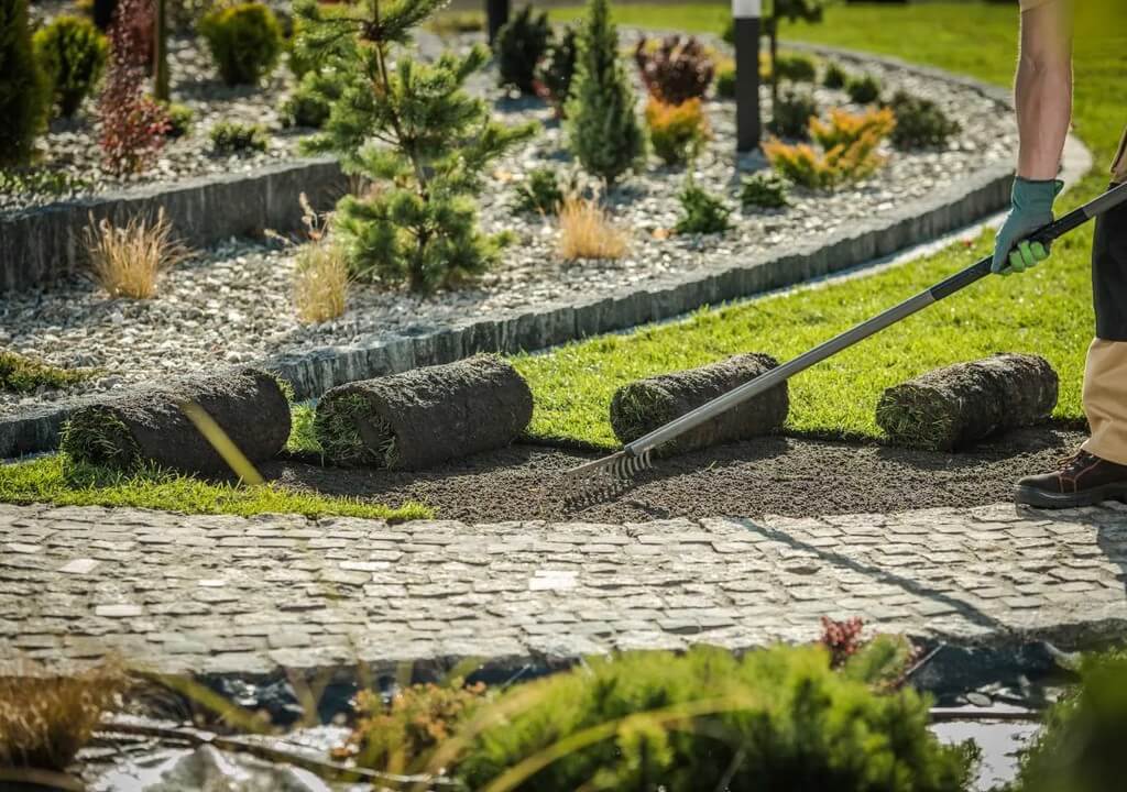 Укладка рулонного газона Киев