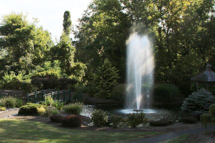 Аэрационный фонтан для водоема Rocket от компании Otterbine