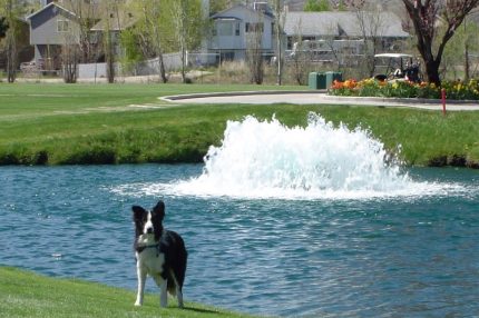 Аэратор для водоема High Volume от компании Otterbine