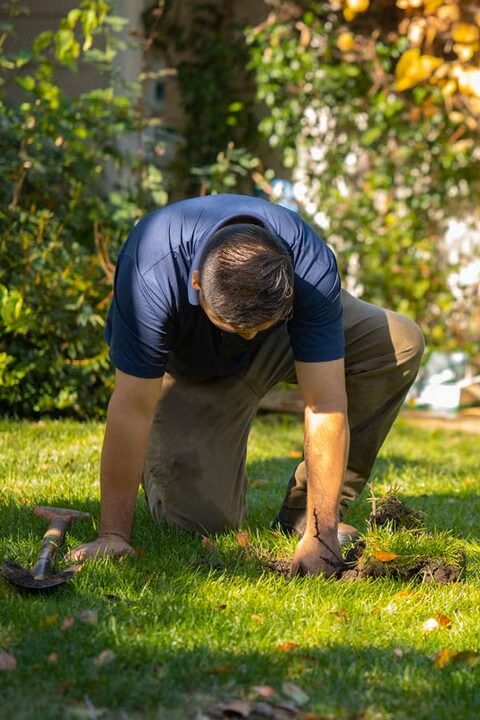 сервіс та ремонт поливу