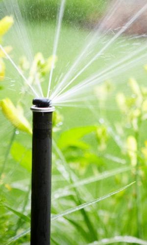 системы автоматического полива Киев