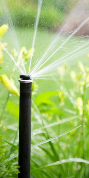 системы автоматического полива Киев