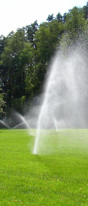 зрошення парків та скверів