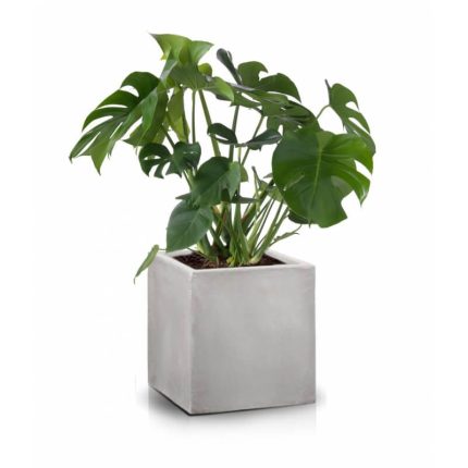 Горшок для цветов под бетон