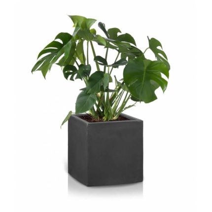 Вазон под бетон