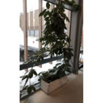 горшок в стиле лофт