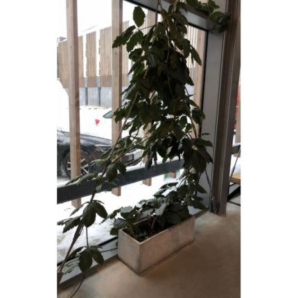 горшок в стиле лофт