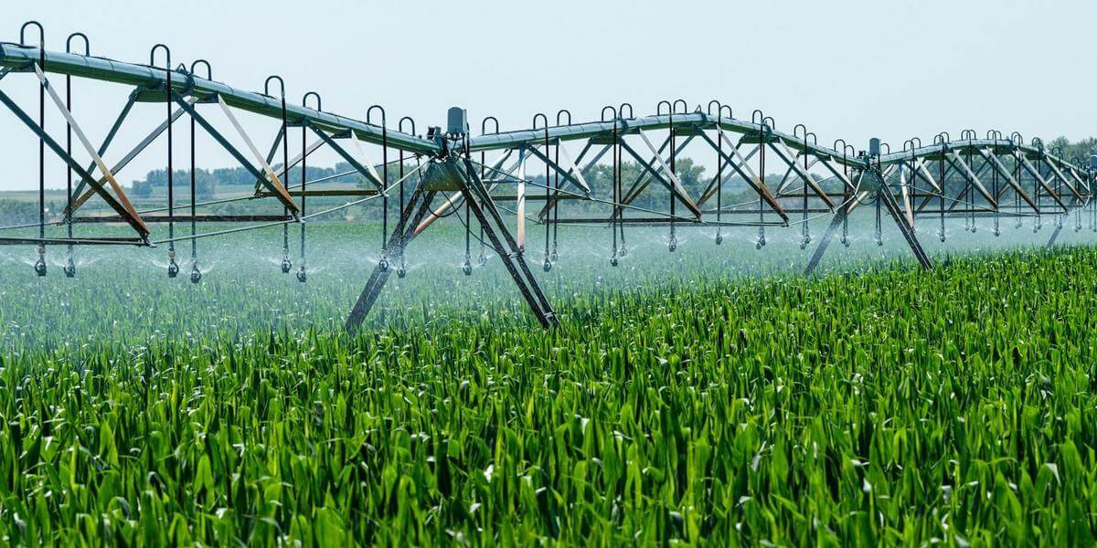 полив полей, аграрное орошение
