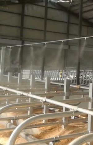 системы тумана животноводство