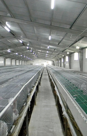 системи туману для промисловості