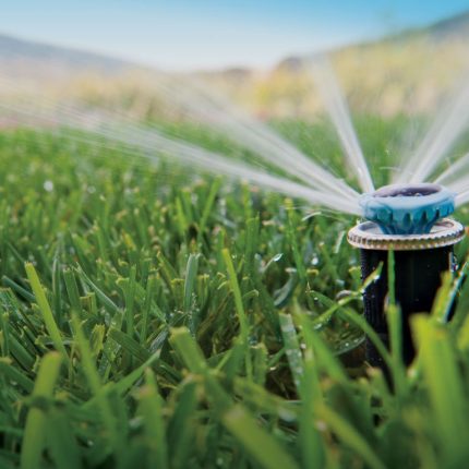 Автоматический полив