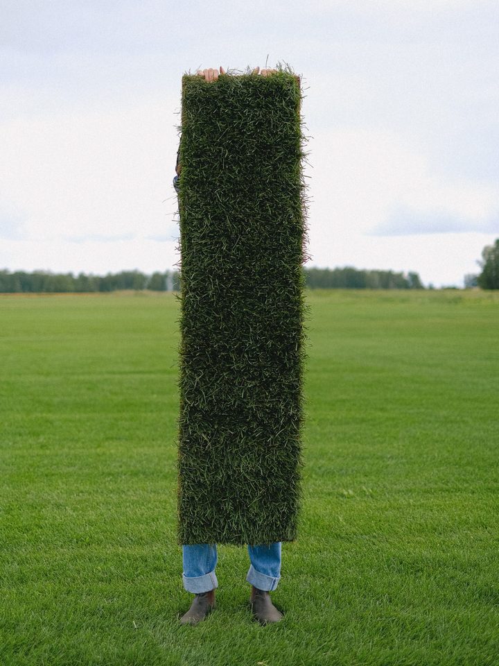 Укладка рулонного газону Київ