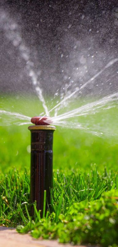 sprinklers-tall-crop