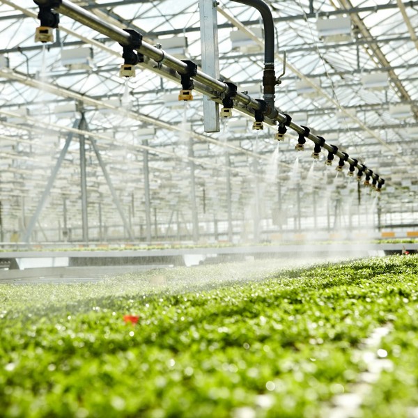 Полив теплиц киев