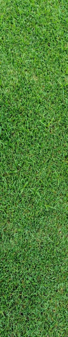 upscalemedia-transformed (3) (1) (1)