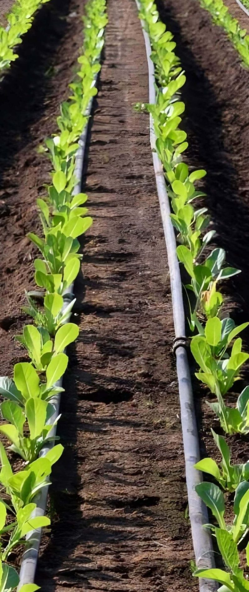 upscalemedia-transformed (3) (1) (1)