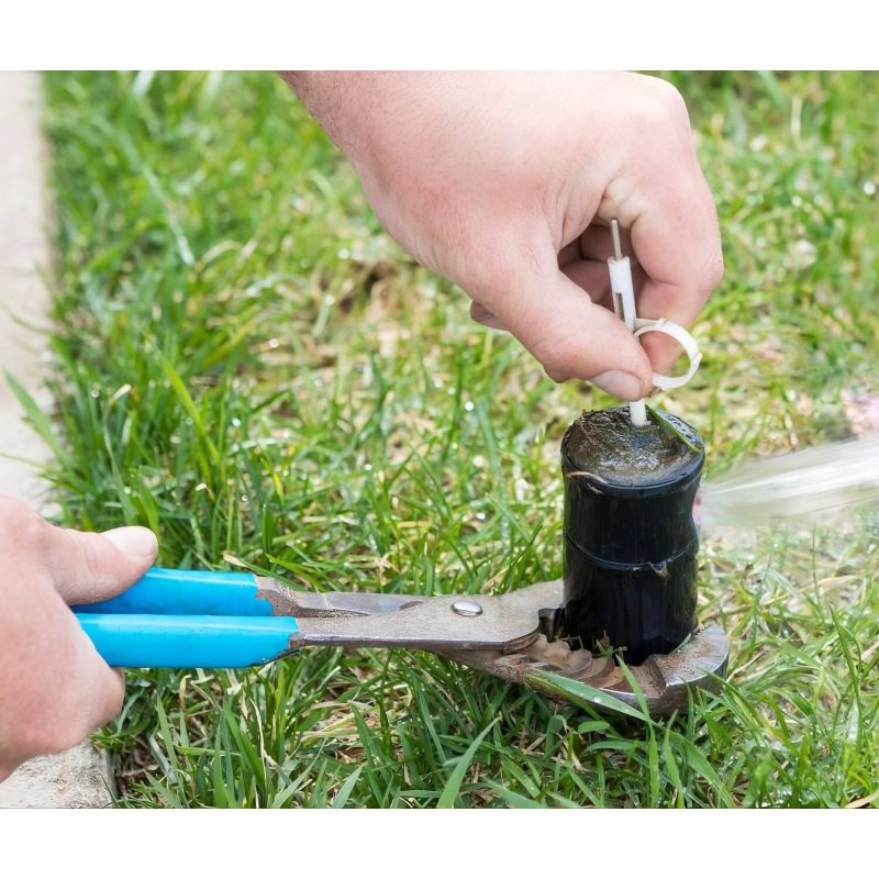 upscalemedia-transformed (3) (1)