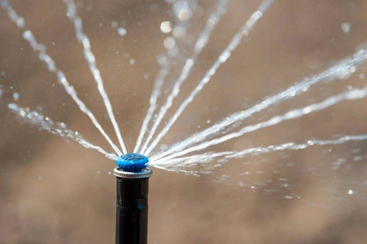 sprinkler-in-action-watering-garden-1024x683