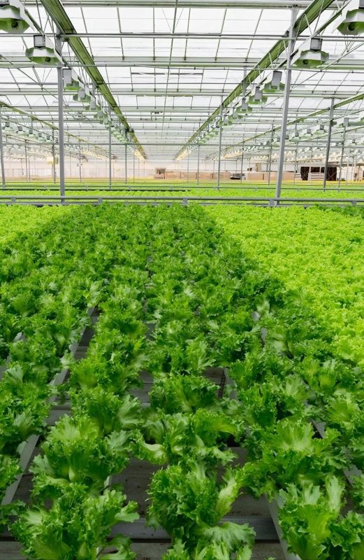 upscalemedia-transformed (4)