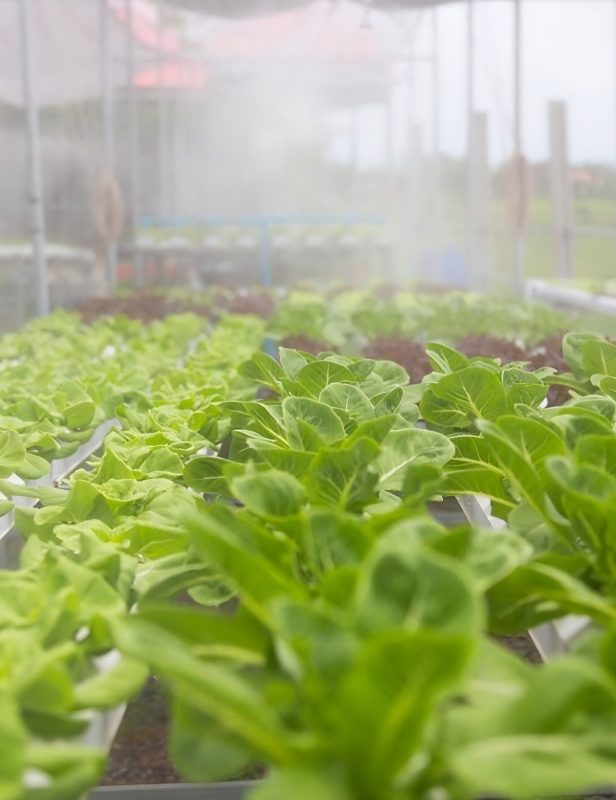 upscalemedia-transformed